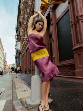 NWT Mischief Studios Melt Panel Dress in Sour Grape - Small